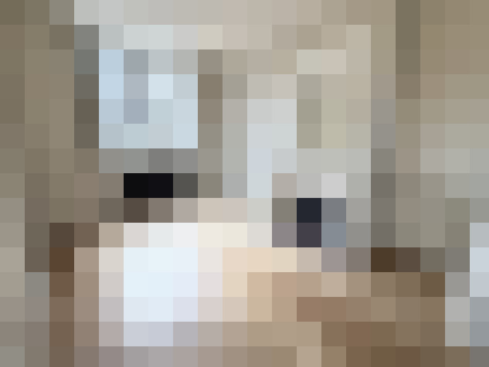  / #12