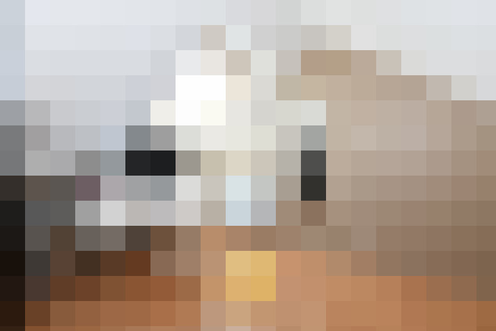  / #20