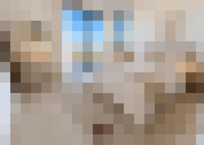  / #20