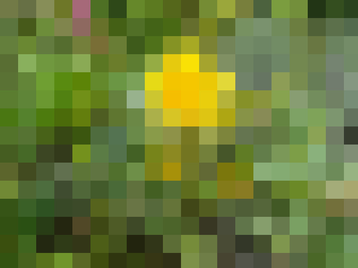  / #15