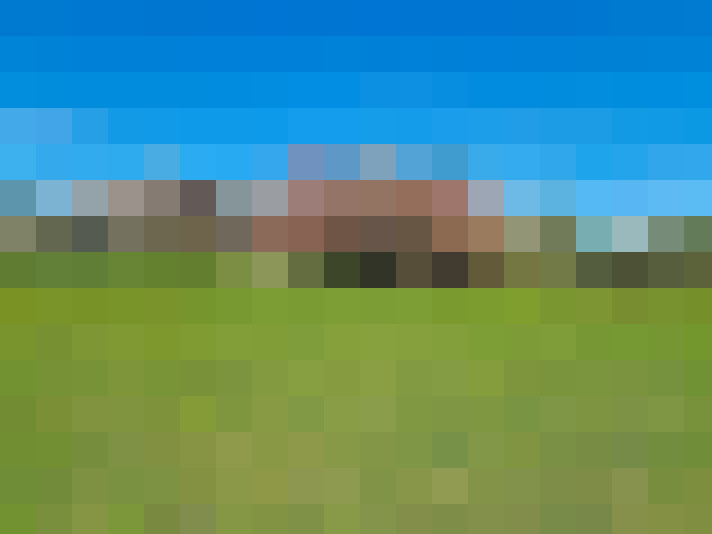  / #7