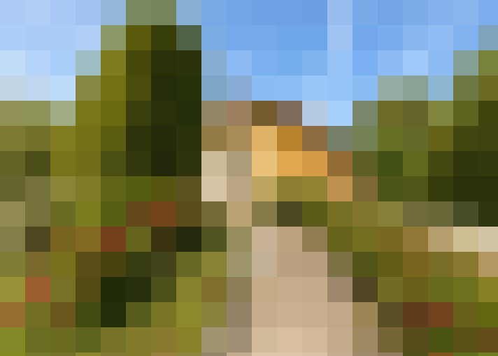  / #17