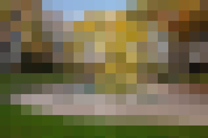  / #13