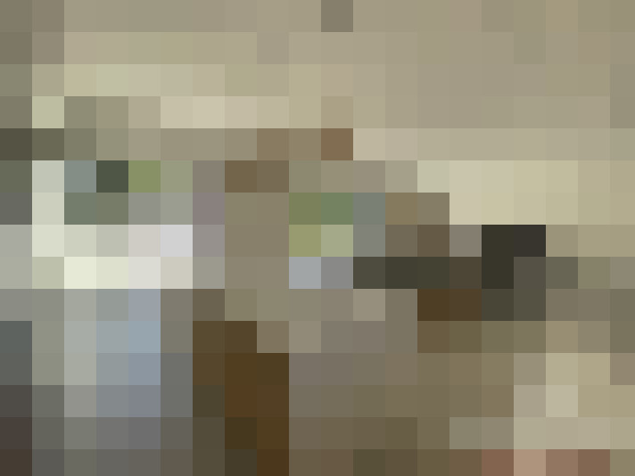  / #7