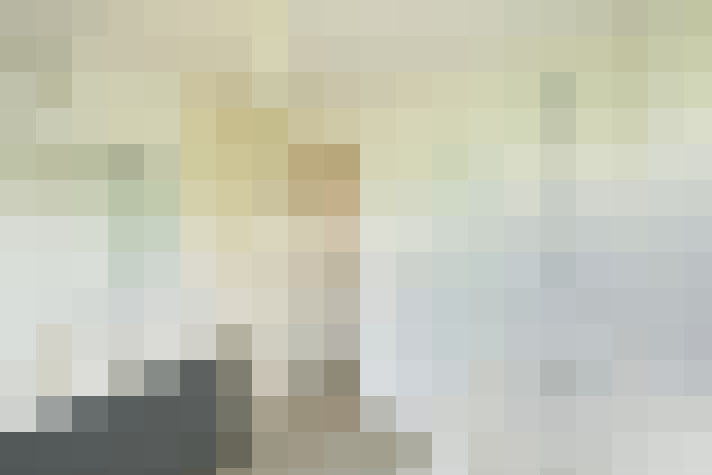  / #15