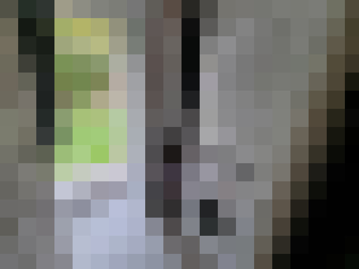  / #19