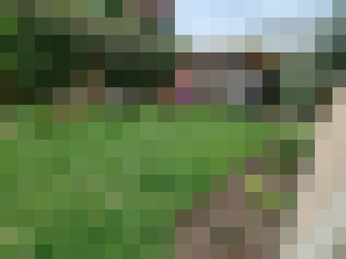  / #16