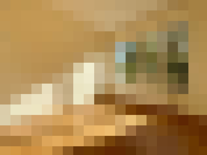  / #9