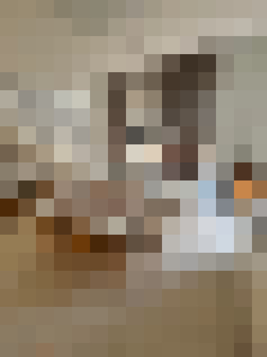 / #14