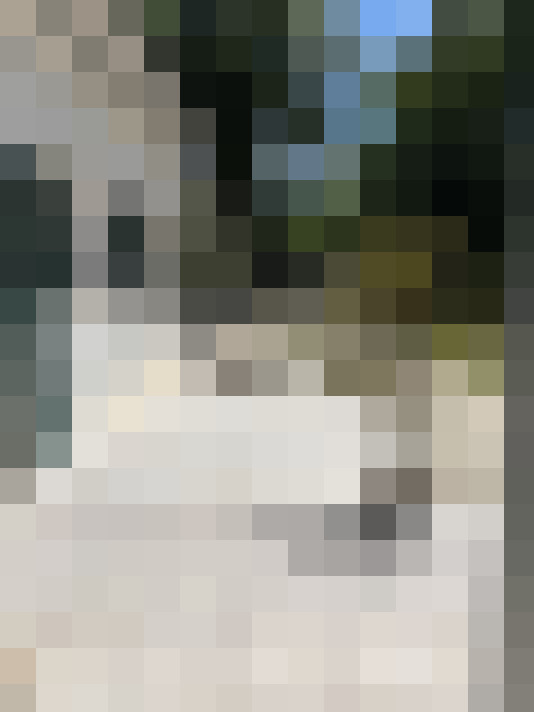 / #16