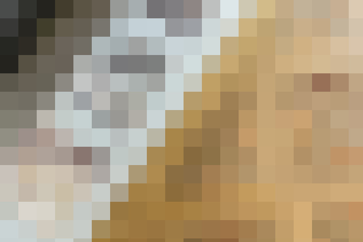  / #21