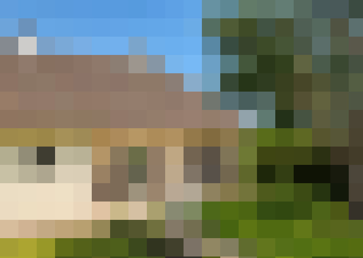  / #16