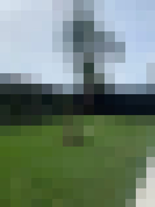  / #7