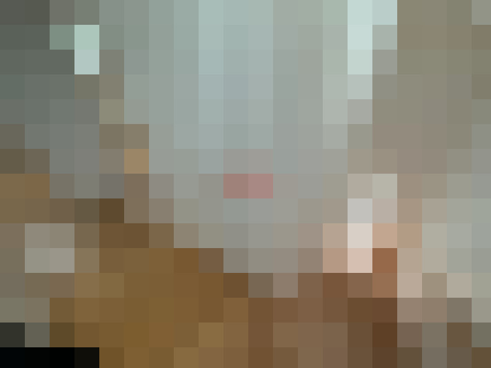  / #14