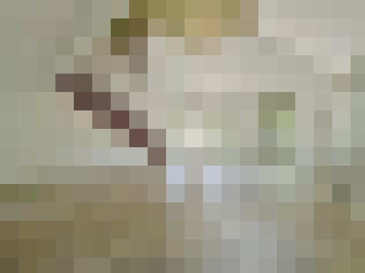  / #8