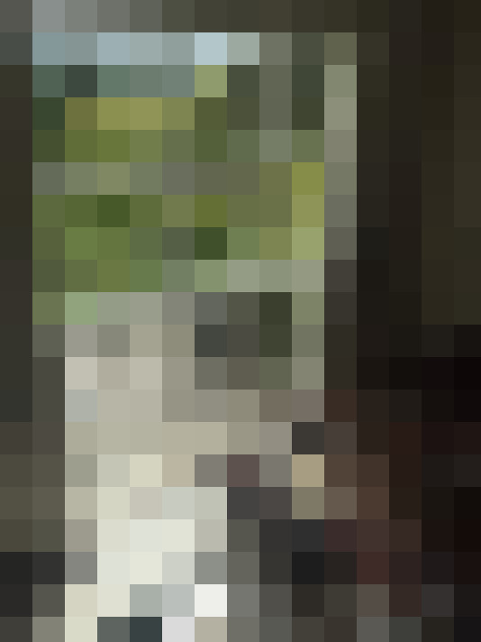  / #14