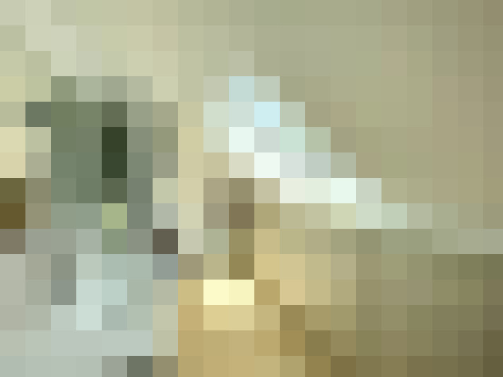  / #17