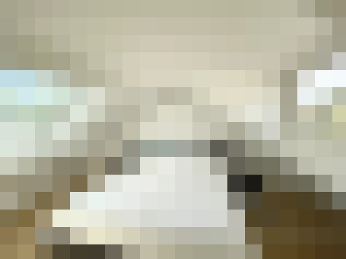  / #15