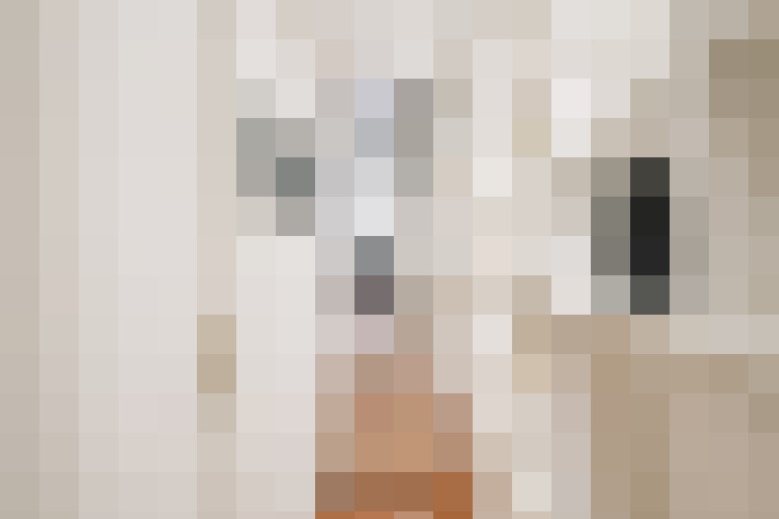  / #20