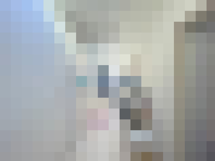  / #16