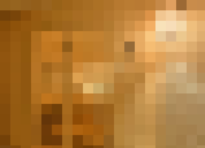  / #17