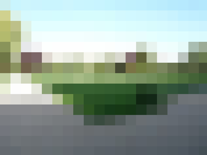  / #15