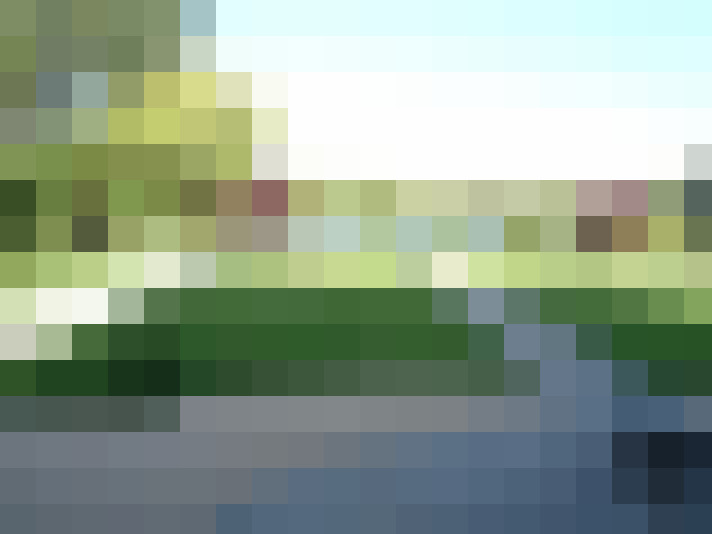  / #14