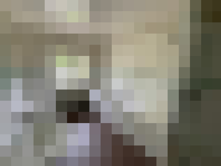  / #9