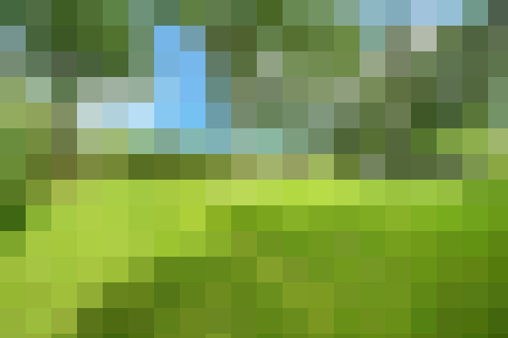  / #17