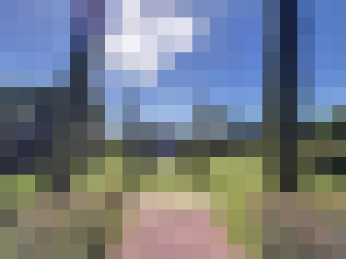  / #17