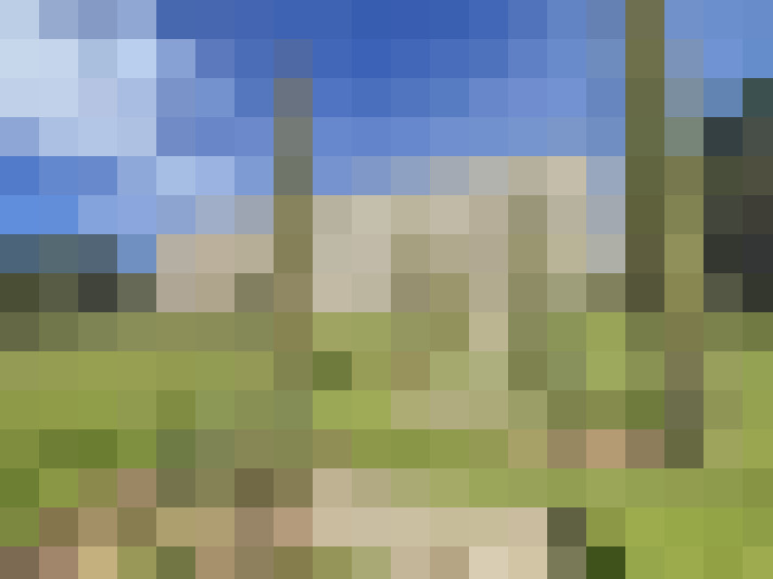  / #16