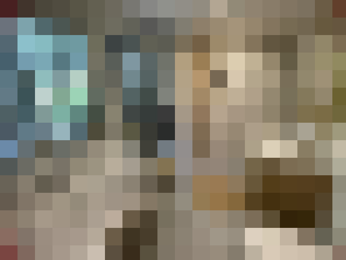  / #15
