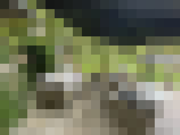  / #17