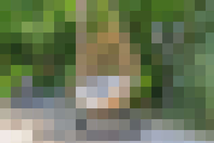  / #19