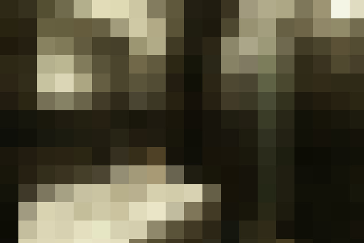  / #14