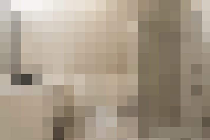  / #24
