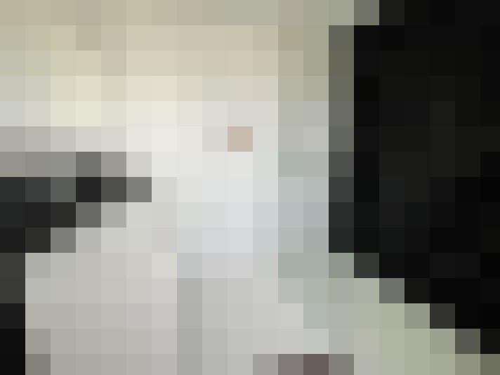  / #14