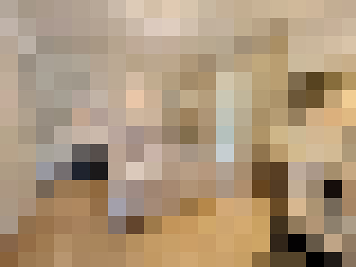  / #19