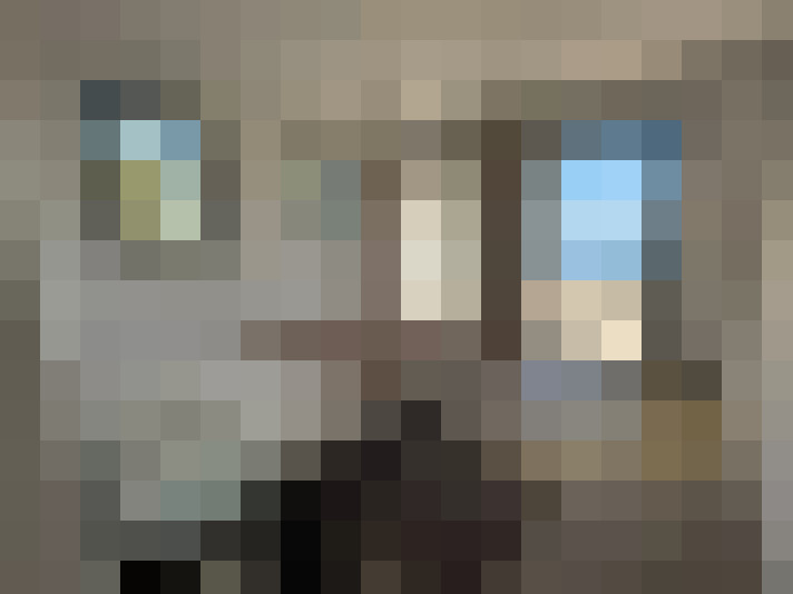  / #17