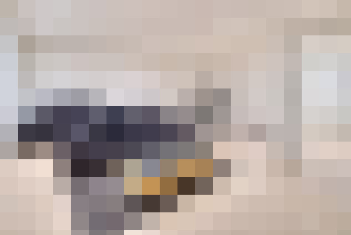  / #11