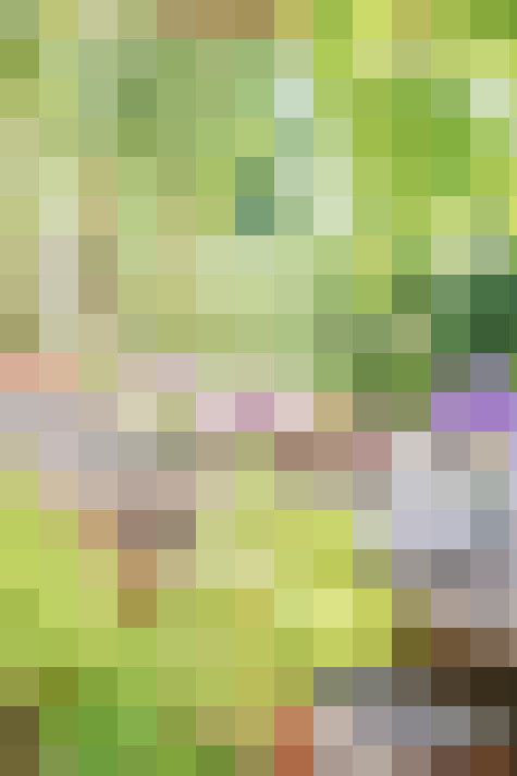  / #20