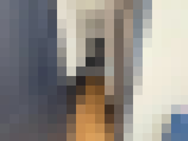  / #7
