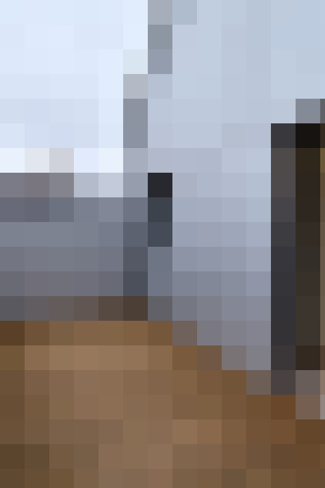  / #6