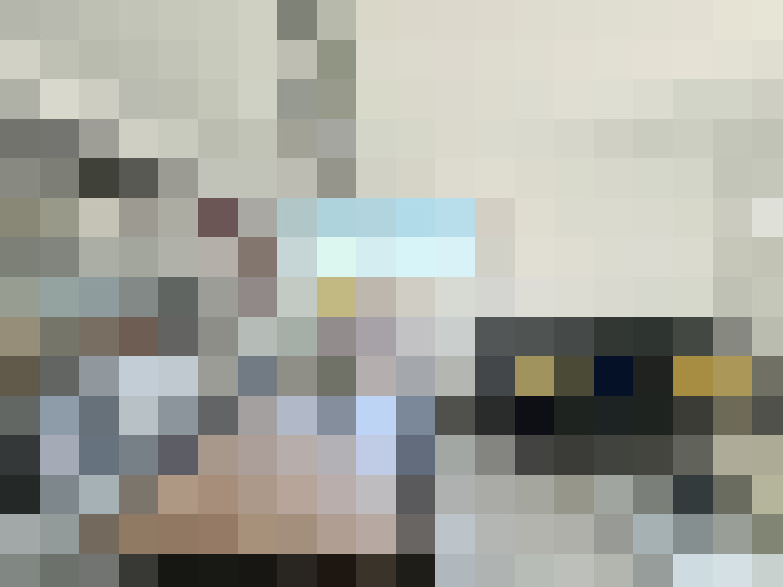 / #11