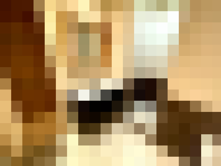  / #12