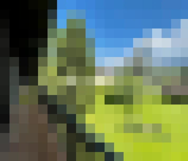  / #12