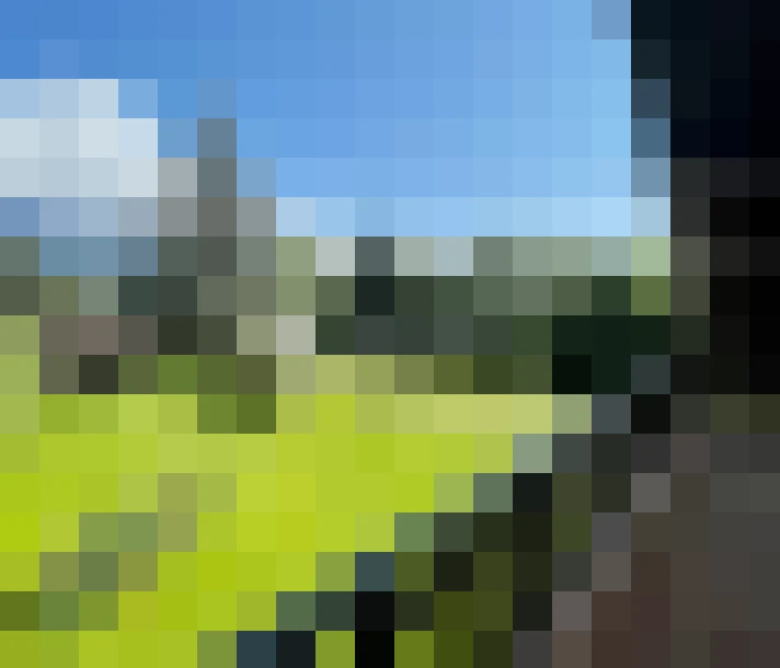  / #13