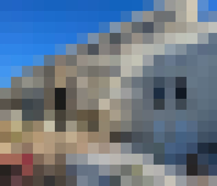  / #17