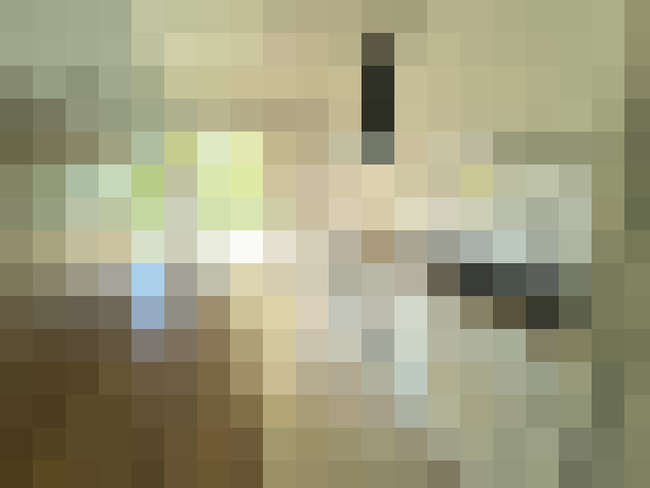  / #8