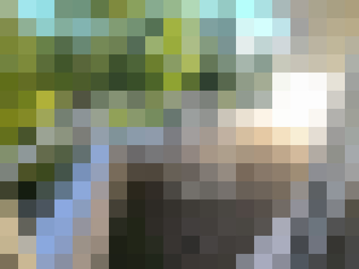  / #16